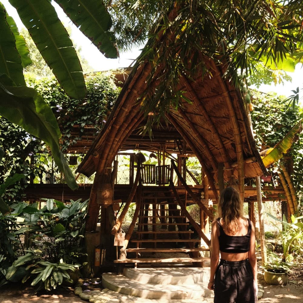 Guachaca - Yay Sustainable